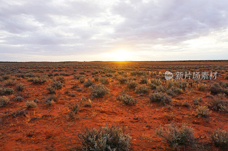 干旱的土地，Roxby Downs，南澳大利亚